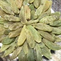 多彩葡萄干大量有货支持电商团购批发市场欢迎咨询