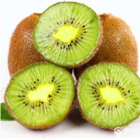 一件代发陕西徐香绿心猕猴桃奇异果现摘现发供电商和大平台