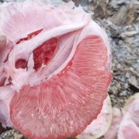 广东梅州三红柚红心柚一级果袋装 2斤以上高糖12度